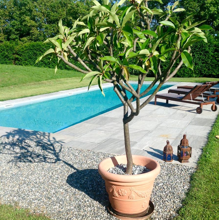 Alla Gazza Ladra Bed & Breakfast Prato Sesia Room photo